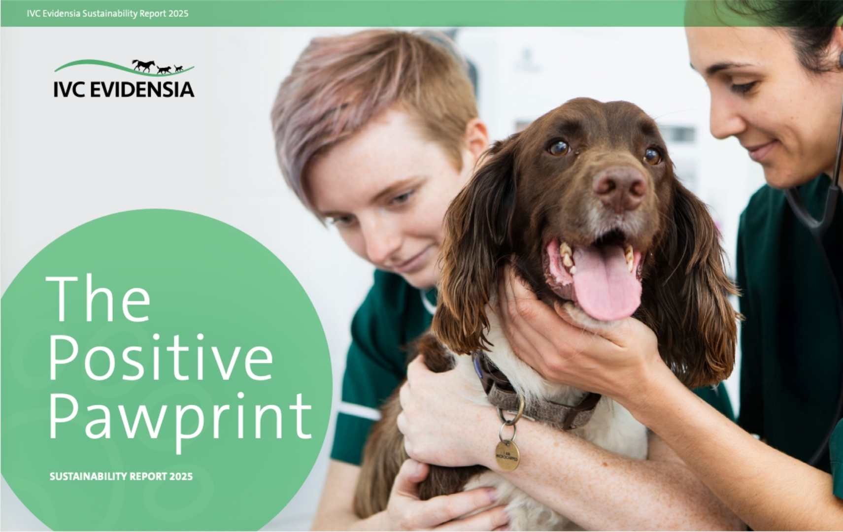 Relatório Positive Pawprint