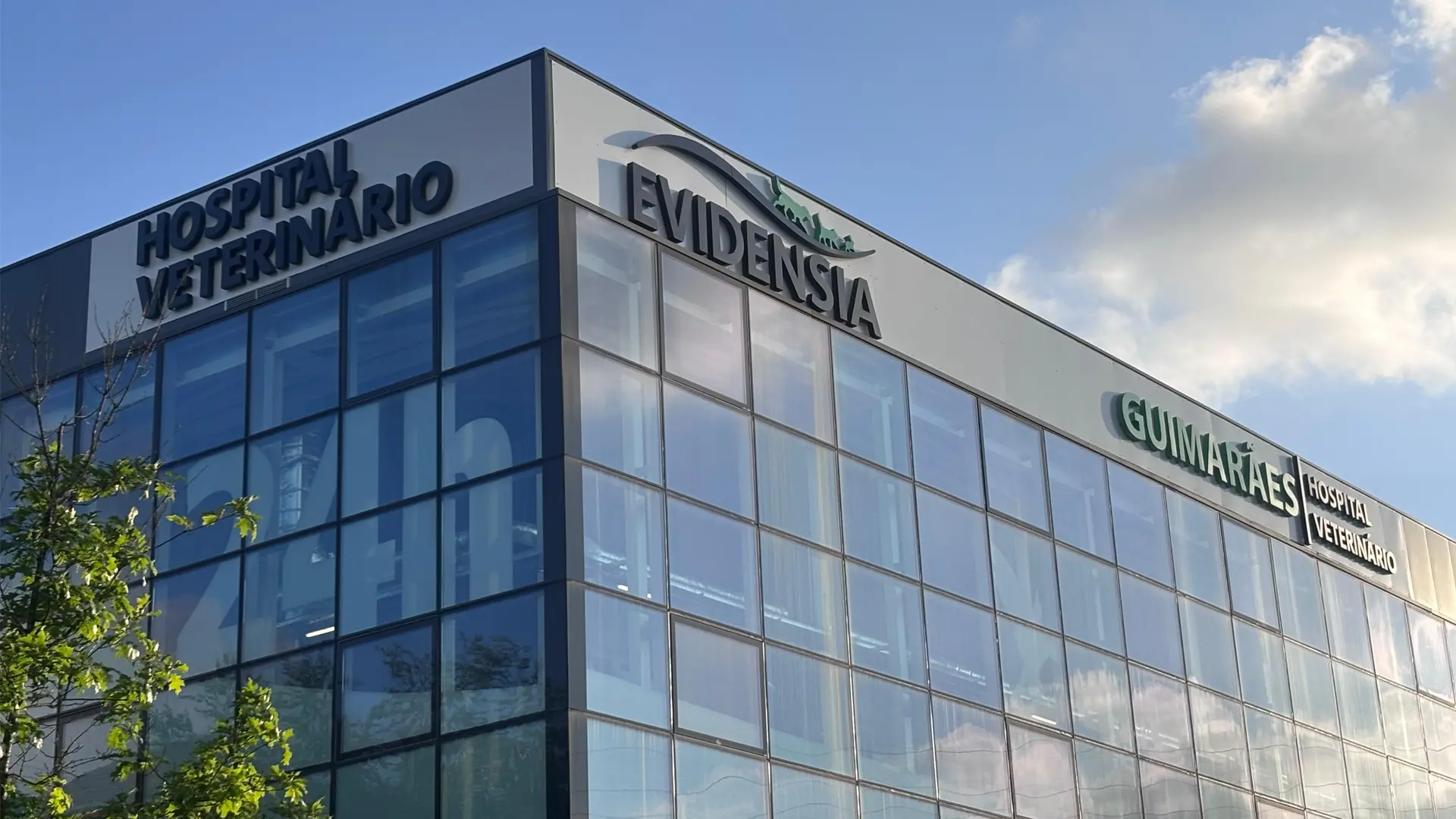 Evidensia Guimarães Hospital Veterinário